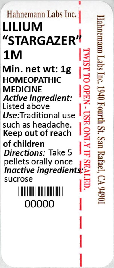 Lilium Stargazer 1M 1g - Lilium Stargazer 1M 1g